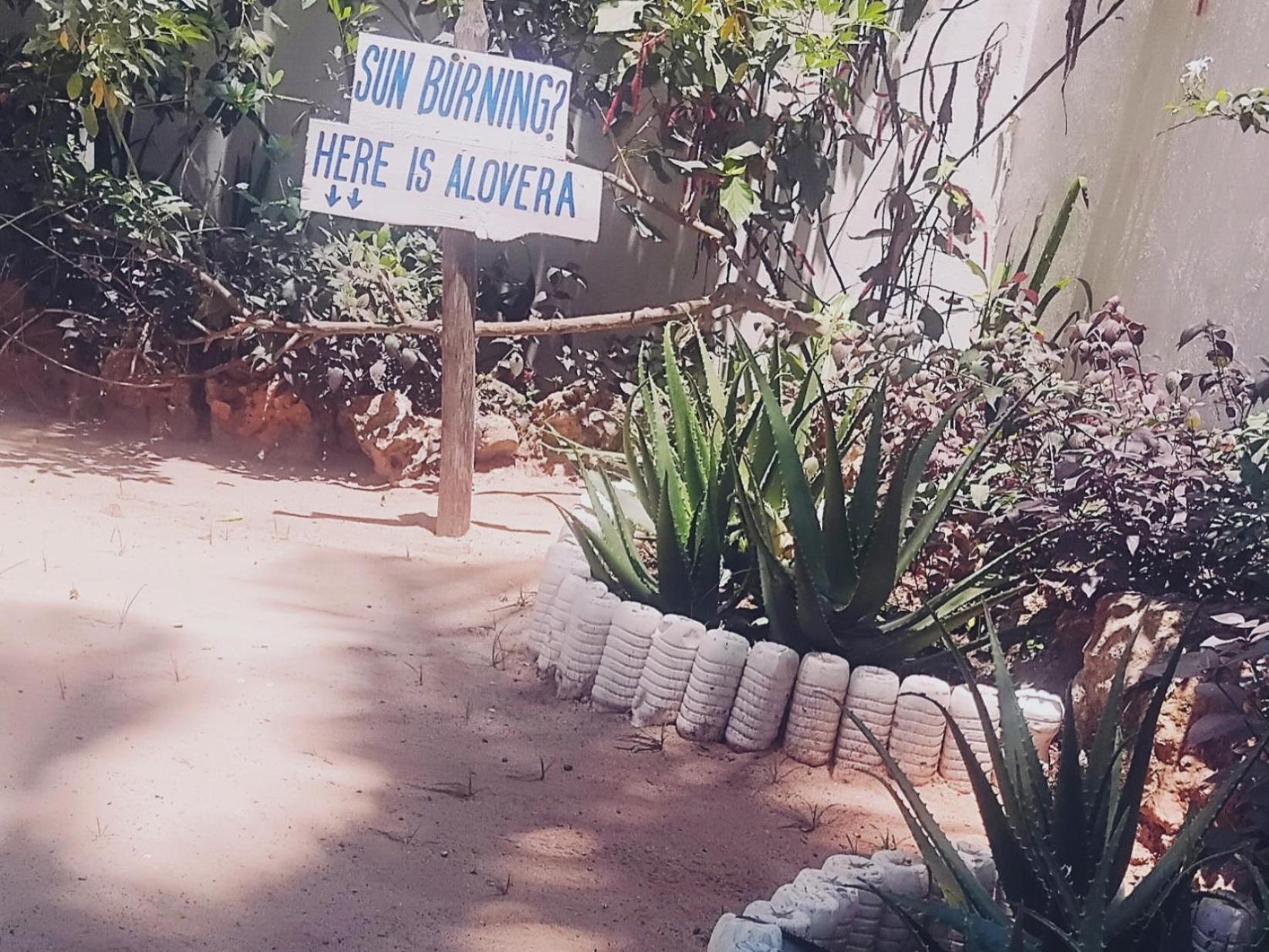 Maua Beach Hotel Kizimkazi Eksteriør billede